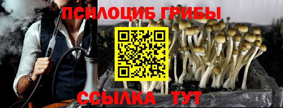 Мелеуз  Галлюциногенные грибы Cubensis  Вход с VPN  Псилоцибиновые грибы мицелий 